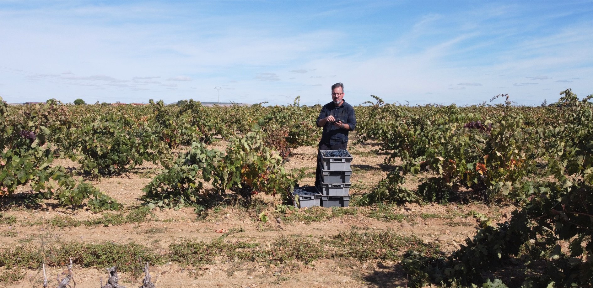 Bodegas Rodriguez y Sanzo