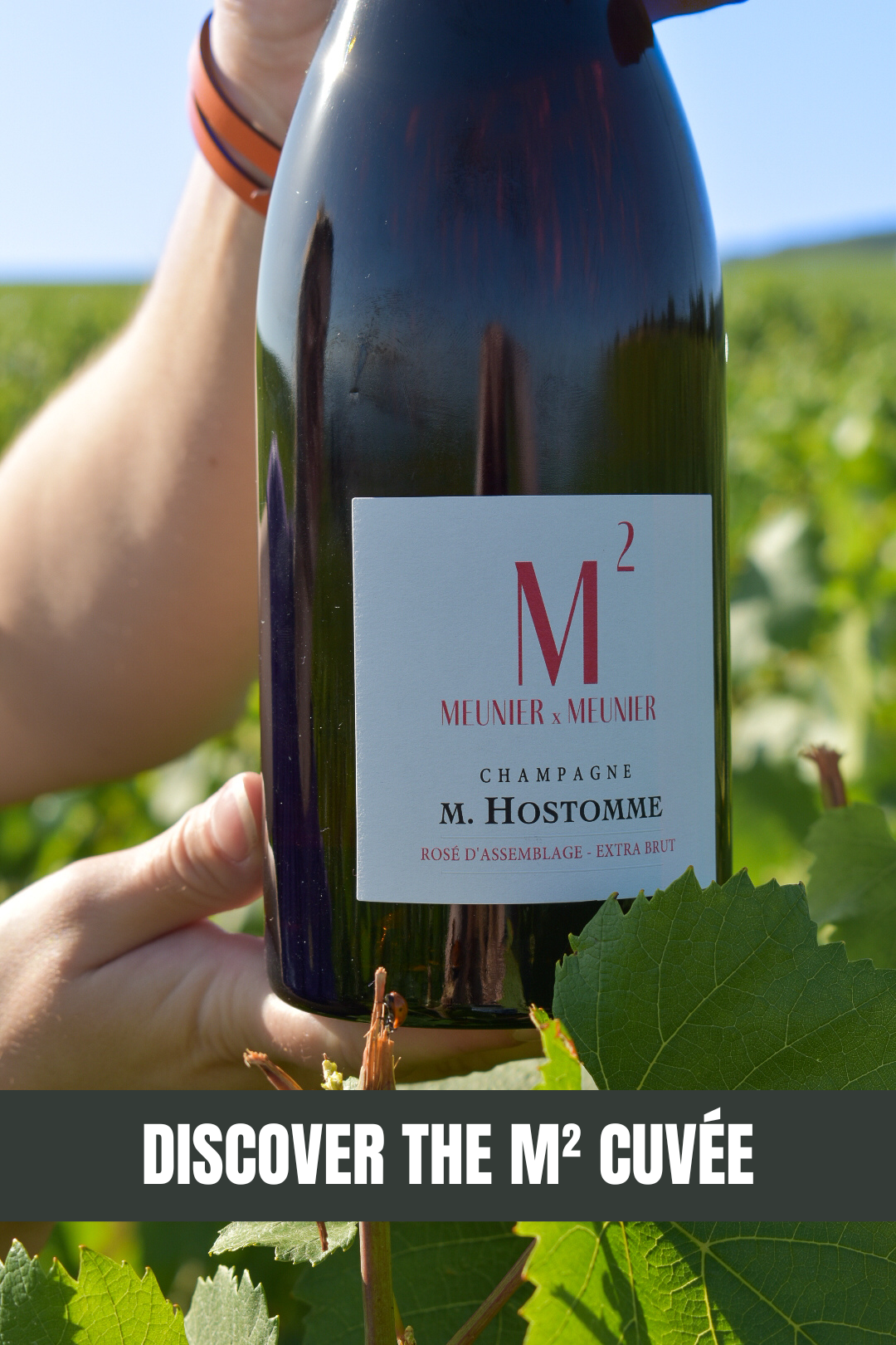 Ein Rosé-Champagner der neuen Generation