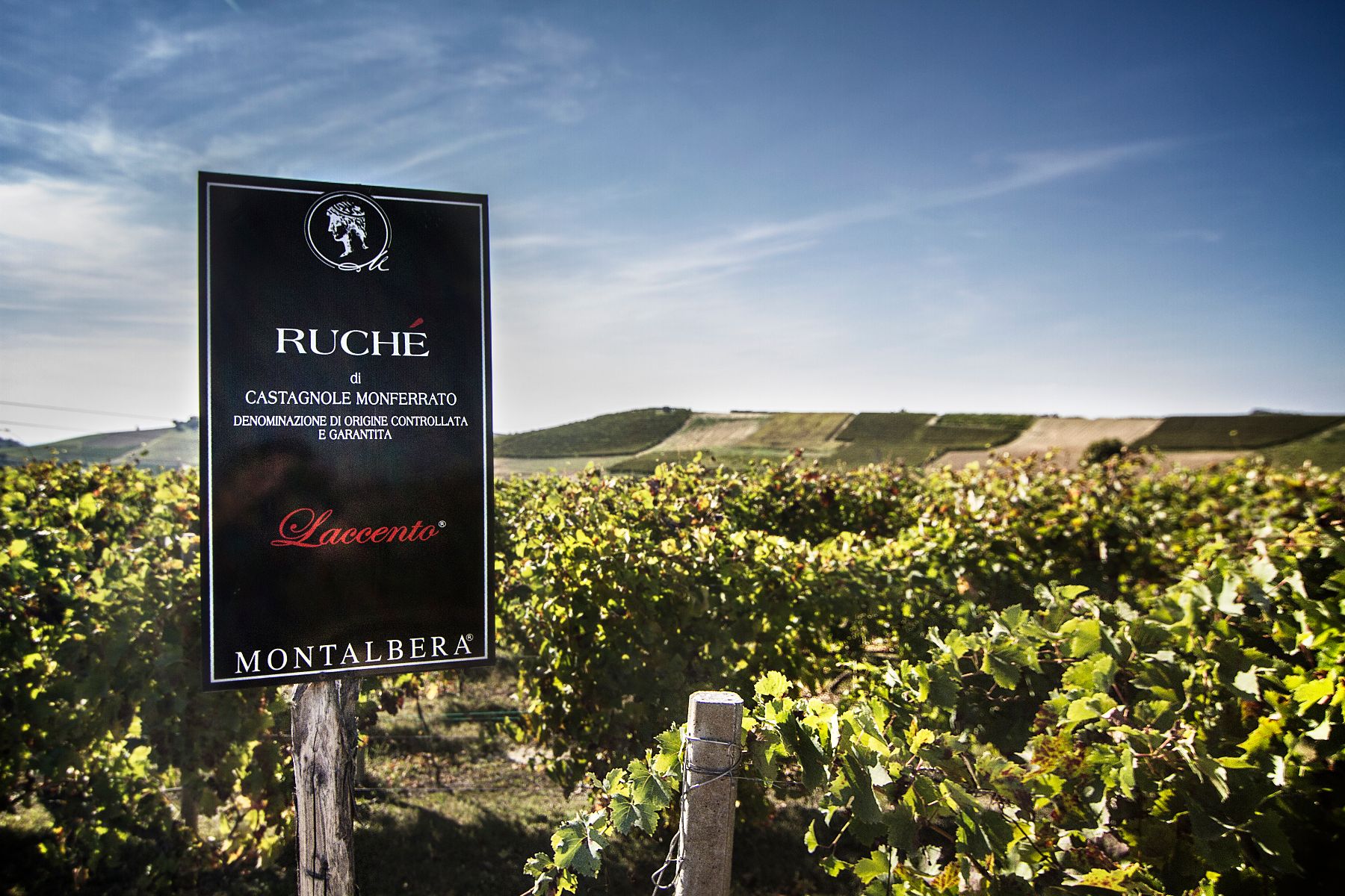 Neue Spitzenbewertungen für die Weine von Montalbera