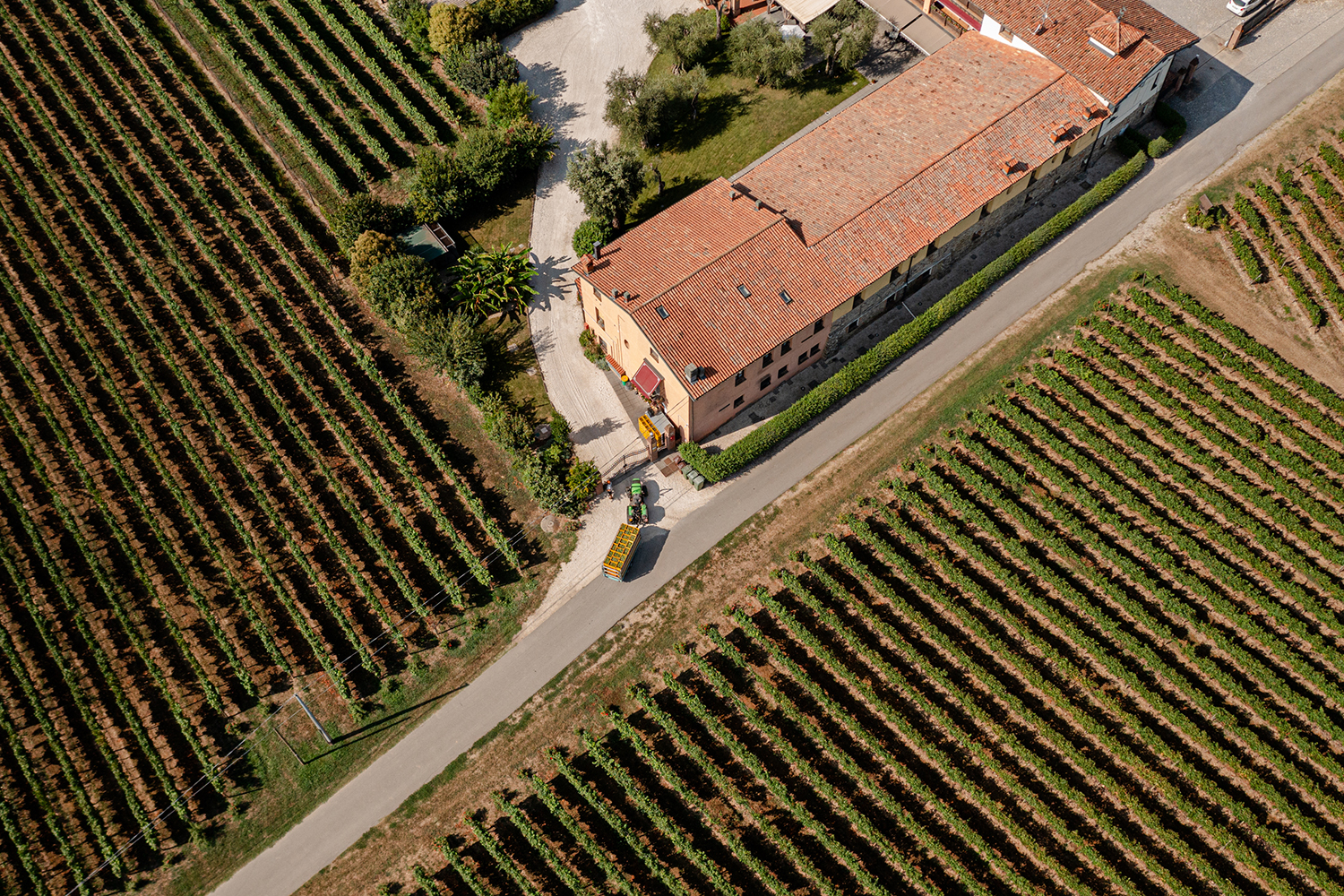 Rocca dei Forti