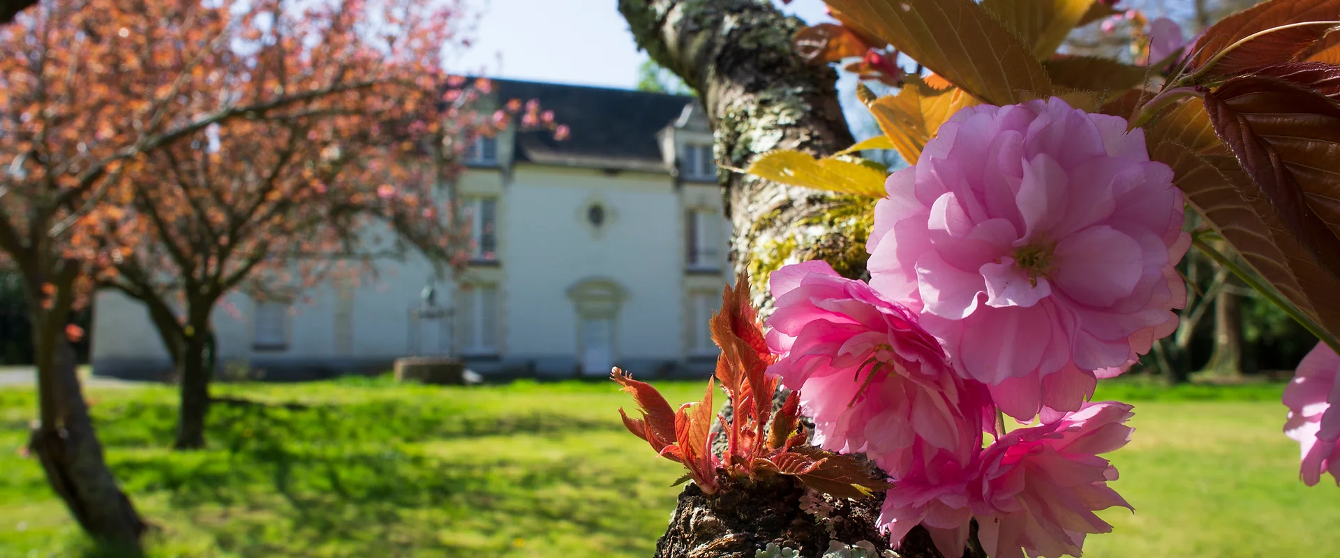 Château Cassemichère