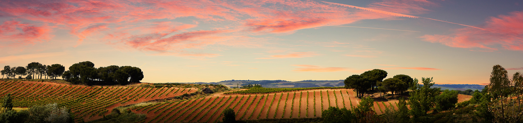 Bodega Vilano