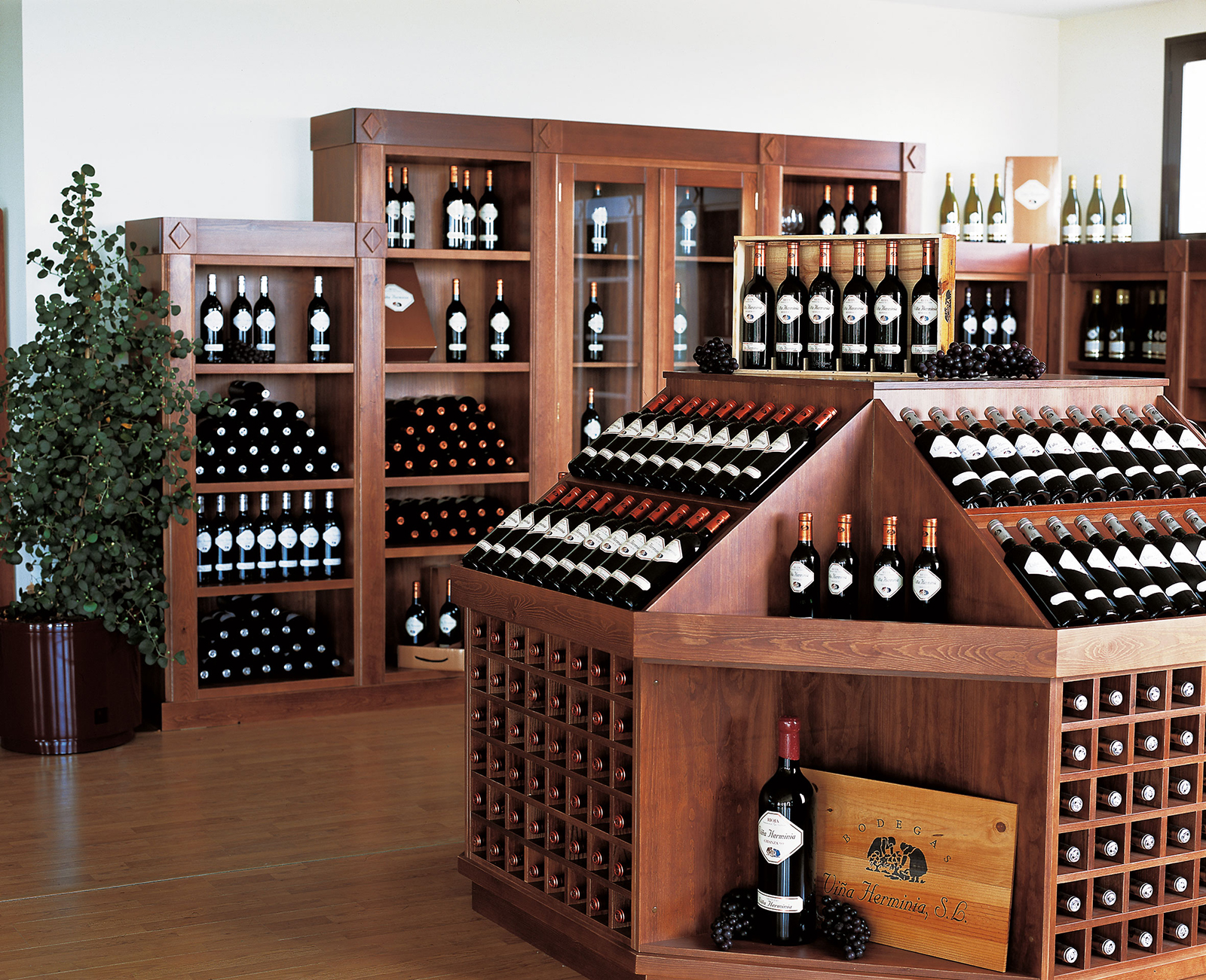 Bodegas Viña Herminia